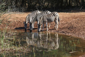  Bushbaby Lodge  Hluhluwe